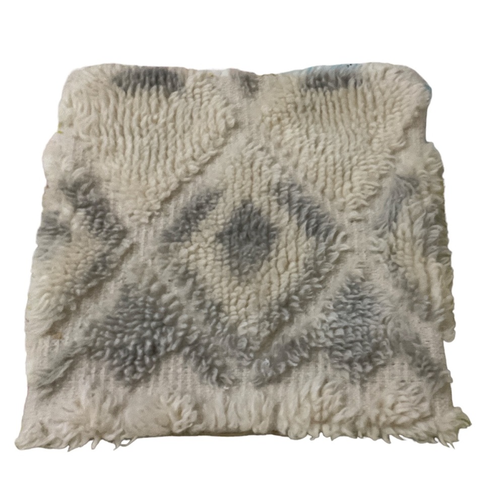 Pottery Barn Accent Pillow